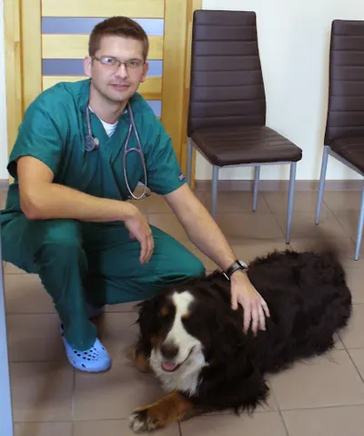 KamVet Przychodnia Weterynaryjna